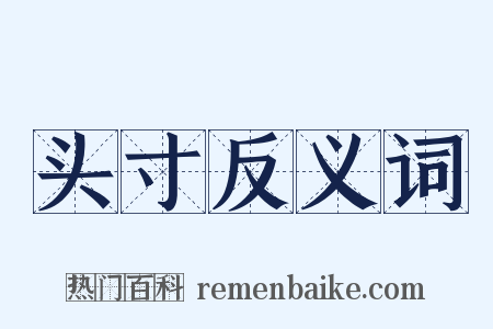 头寸反义词是什么意思的图片